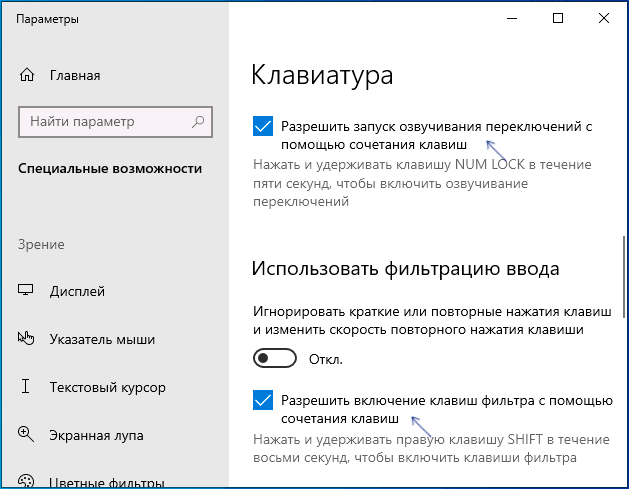 Отключить фильтрацию ввода в параметрах Windows 10