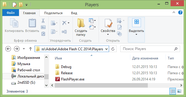 Папка с Adobe Flash Player