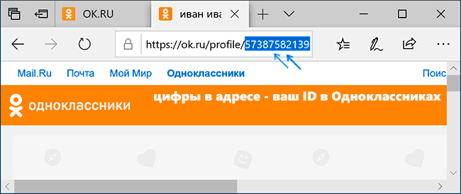 Ваш ID в Одноклассниках