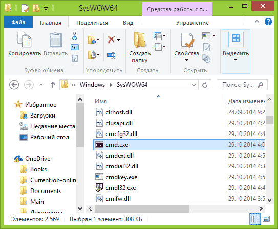 Файл cmd.exe в Windows